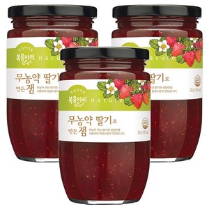 복음자리 무농약 딸기로 만든 잼, 500g, 3개