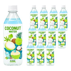 탄도 코코넛워터 100%, 500ml, 12개