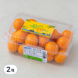 귤탐 당도선별 11Brix 감귤, 1.2kg(꼬마과), 2개
