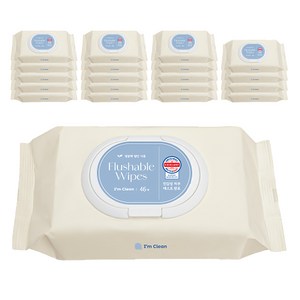 아임클린 저자극 비데 물티슈 캡형, 50g, 46매, 20개
