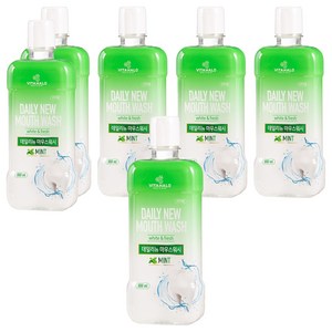 비타할로 데일리뉴 마우스워시 민트, 800ml, 6개