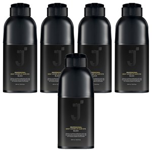 제이숲 프로페셔널 커버업 새치 염색제 300ml, 블랙, 5개
