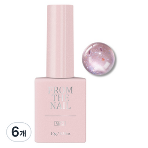 프롬더네일 MAGNET GEL 네일, FG384, 10g, 6개
