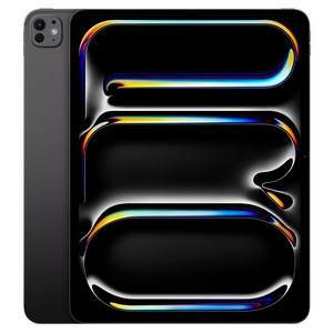 Apple 2025 아이패드 프로 13(M5 모델) 스탠다드 글래스, 스페이스 블랙, 1TB, Wi-Fi