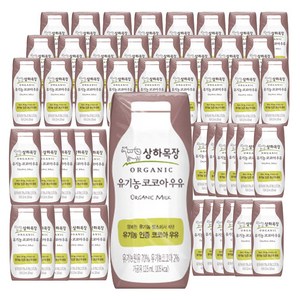 상하목장 유기농 코코아 우유, 125ml, 48개