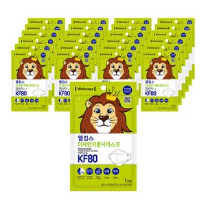 웰킵스 미세먼지황사마스크 대형 KF80, 1개입, 25개, 백색