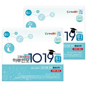 고철남홍삼 하루한포 1019틴 홍삼 스틱, 300ml, 2개