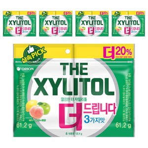 오리온 깔끔한 더 자일리톨, 61.2g, 10개