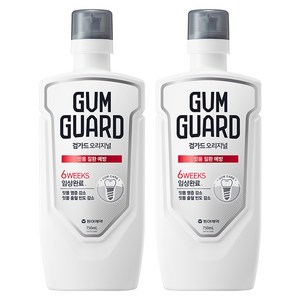 검가드 오리지널 잇몸 질환 예방 구강청결제, 750ml, 2개