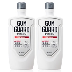 검가드 오리지널 잇몸 질환 예방 구강청결제, 1.2L, 2개 골드박스 특가