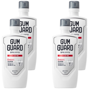 검가드 오리지널 잇몸 질환 예방 구강청결제, 750ml, 4개