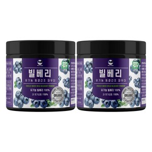 해나식품 유기농 동결건조 와일드 빌베리 분말, 100g, 2개