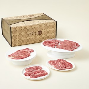 농협안심한우 1++(7)등급 안심특선 23호 1kg (등심200g + 채끝200g + 갈비살200g + 부채살200g + 살치살200g) (냉장), 1세트, 200g 골드박스 특가