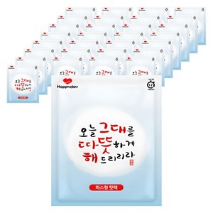 해피데이 파스형 오늘 그대를 따뜻하게 해드리리라 핫팩 50g, 160개