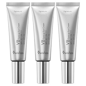 나인위시스 VB 톤업 선크림 시그니처 SPF50+ PA++++, 3개, 50ml