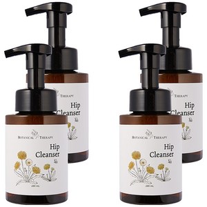 보타니컬테라피 엉덩이 클렌저 무향, 280ml, 4개