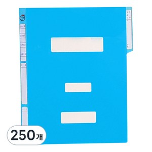 영오 친환경 정부화일, 청색, 250개