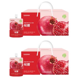하루활력 석류즙, 2.1L, 60개