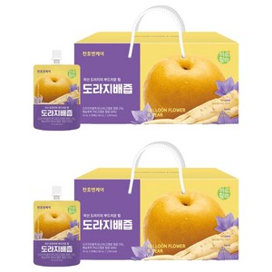 하루활력 도라지배즙, 70ml, 60개