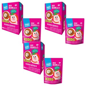 푸디버디 유아용 한우 토마토소스 5p, 혼합맛(쇠고기/토마토), 500g, 3개