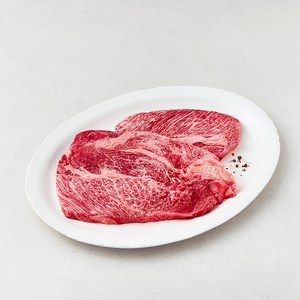 한우 1등급 등심 구이용 (냉장), 600g, 1개