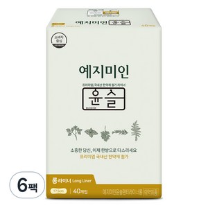 예지미인 윤슬 팬티라이너, 롱, 40개입, 6개