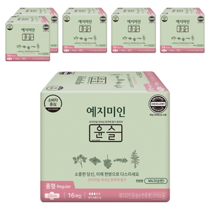 예지미인 윤슬 한방 생리대 날개형, 중형, 16개입, 6개