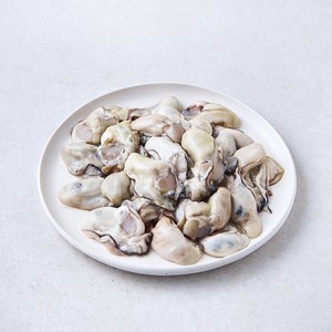 갯마을 남해안 가열조리용 봉지굴 (냉장), 380g, 1개