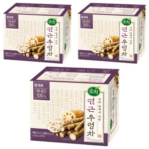 순작 연근우엉차, 800mg, 40개입, 3개