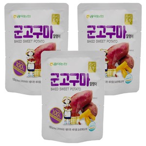 공덕농협 군고구마말랭이, 100g, 3개