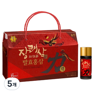 장쾌삼 발효홍삼력 10p, 5개, 850ml