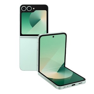 LG유플러스 삼성전자 갤럭시 Z 플립6 SM-F741N, 민트, 256GB