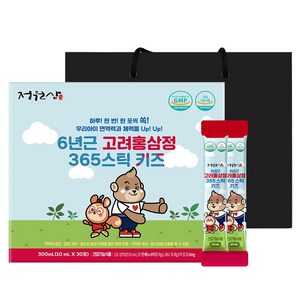 정원삼 6년근 고려홍삼정 365 스틱 키즈 30포 + 쇼핑백, 300ml, 1개