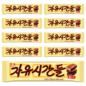 자유시간 들 초코바, 60g, 9개