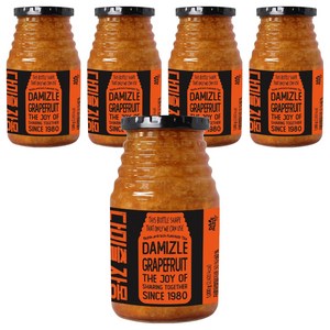 다미즐 자몽 액상차, 1kg, 1개입, 5개