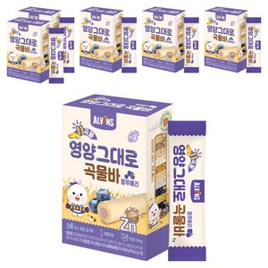엘빈즈 11곡물 영양그대로 곡물바, 블루베리맛, 40g, 6개
