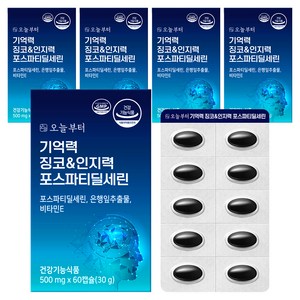 오늘부터 기억력 징코&인지력 포스파티딜세린, 60정, 5개