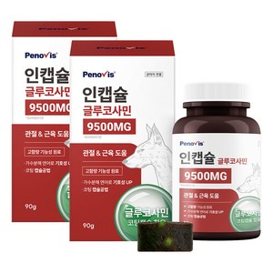 페노비스 강아지 인캡슐 글루코사민 영양제, 90g, 뼈/관절강화, 2개