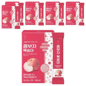 데이앤 콤부차 복숭아, 5g, 10개입, 6개
