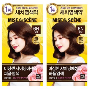 미쟝센 올 뉴 샤이닝 에센스 염모제, 6N 갈색, 2개