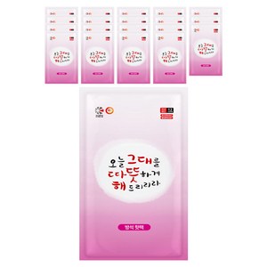해피데이 방석형 오늘 그대를 따뜻하게 해드리리라 핫팩 400g, 20개