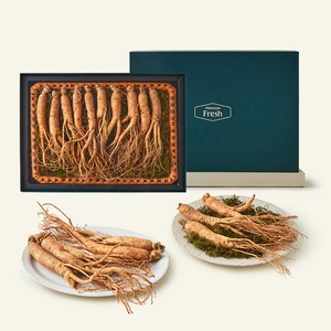 프리미엄 금산 6년산 수삼 선물 세트, 800g(10~12뿌리), 1개