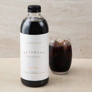 핸디엄 일상기준 콜드브루, 1L, 1개 골드박스 특가