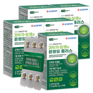코오롱제약 기억력 혈행엔 은행잎 플러스, 30정, 5개