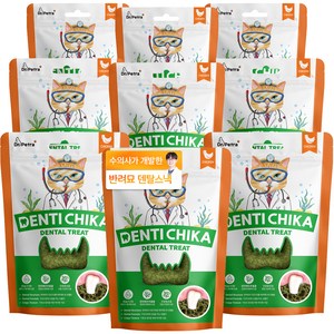닥터페트라 덴탈 트릿 고양이 간식, 9개, 70g, 닭고기맛
