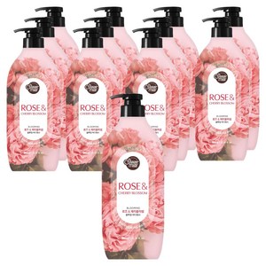 샤워메이트 블루밍 바디워시 로즈 앤 체리블러썸, 900g, 12개