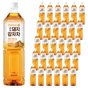 광동제약 돼지감자차, 60개, 1.5L