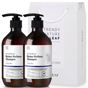 달리프 베러 퍼퓸 프리미엄 기프트 샴푸 세트 레이니데이향 500ml x 2개입, 1세트