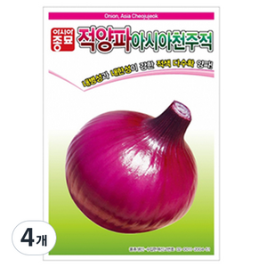 아시아종묘 아시아 천주적 적양파 씨앗 2.5g, 4개