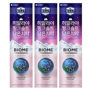 히말라야핑크솔트 담은 바이옴 잇몸 구취전문 치약, 160g, 3개
